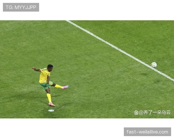 南非1-0韩国：世界杯A组末轮比赛回顾